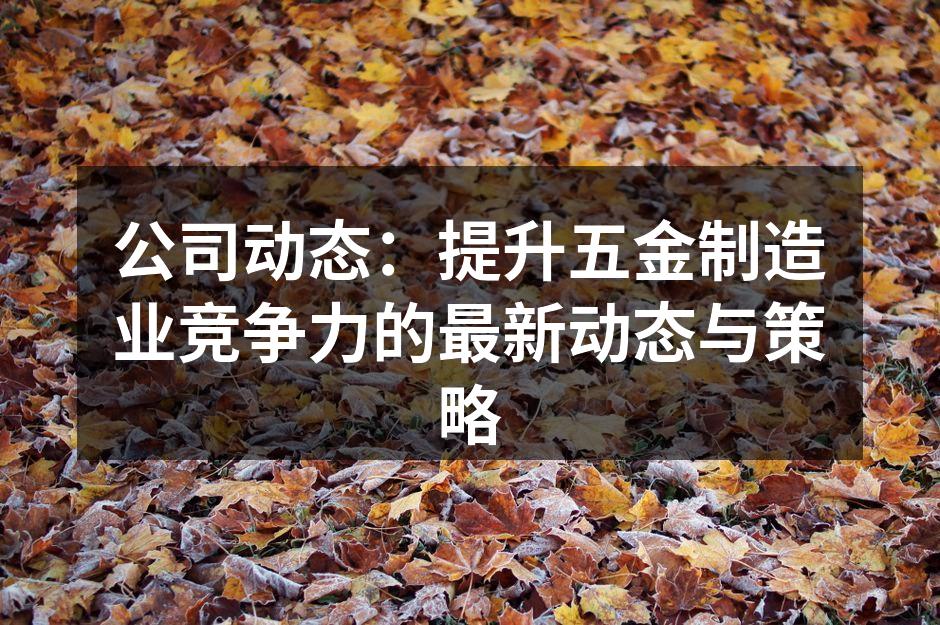 公司动态:提升五金制造业竞争力的最新动态与策略